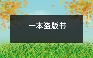 一本盜版書(shū)