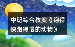 中班綜合教案《跑得快、跑得慢的動物》