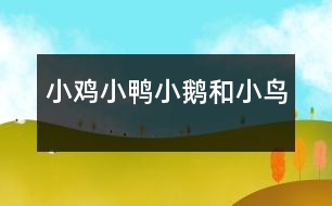 小雞、小鴨、小鵝和小鳥(niǎo)