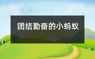 團(tuán)結(jié)勤奮的小螞蟻