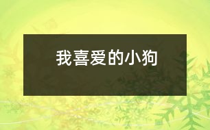 我喜愛(ài)的小狗