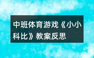 中班體育游戲《小小科比》教案反思