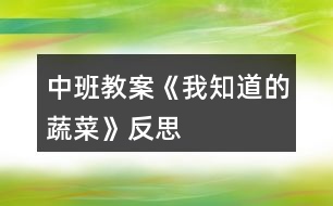 中班教案《我知道的蔬菜》反思