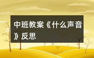 中班教案《什么聲音》反思