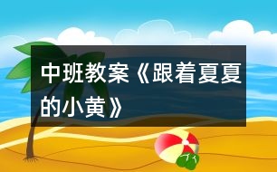 中班教案《跟著夏夏的小黃》