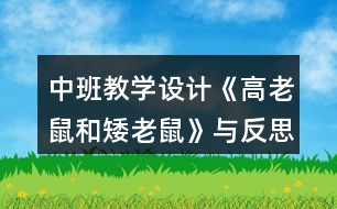 中班教學設計《高老鼠和矮老鼠》與反思