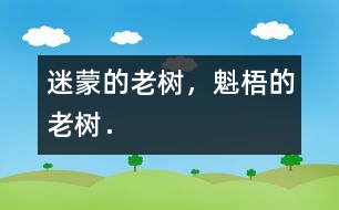 迷蒙的老樹，魁梧的老樹．