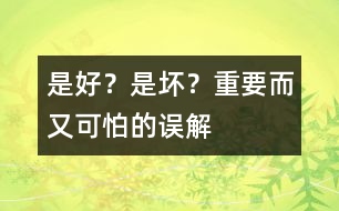 是好？是壞？——重要而又可怕的誤解