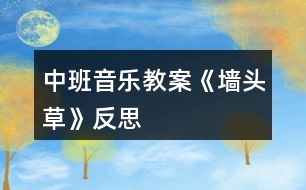 中班音樂教案《墻頭草》反思