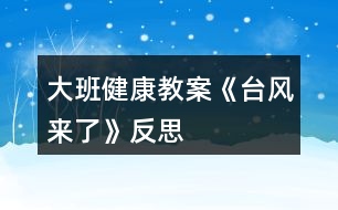 大班健康教案《臺(tái)風(fēng)來了》反思