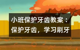 小班保護牙齒教案 :保護牙齒，學(xué)習(xí)刷牙