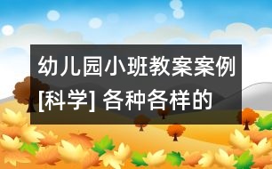 幼兒園小班教案案例[科學] 各種各樣的車