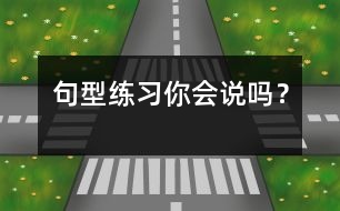 句型練習(xí)“你會(huì)說嗎？”