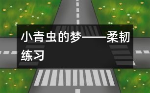 小青蟲的夢(mèng)――柔韌練習(xí)