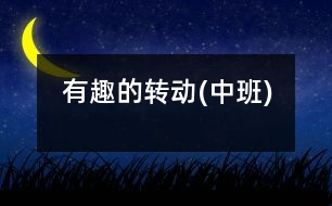 有趣的轉(zhuǎn)動(dòng)(中班)