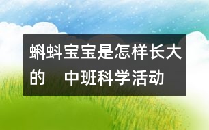 蝌蚪寶寶是怎樣長大的?。ㄖ邪嗫茖W(xué)活動）