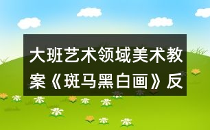 大班藝術(shù)領(lǐng)域美術(shù)教案《斑馬黑白畫》反思