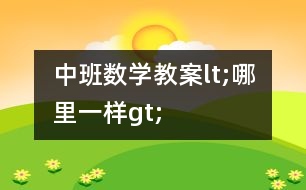 中班數(shù)學教案lt;哪里一樣gt;