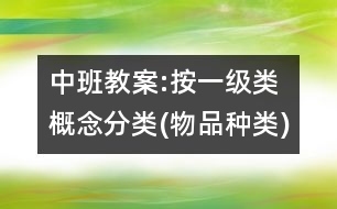 中班教案:按一級類概念分類(物品種類)