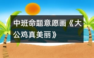 中班命題意愿畫《大公雞真美麗》