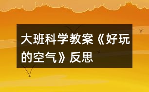 大班科學教案《好玩的空氣》反思