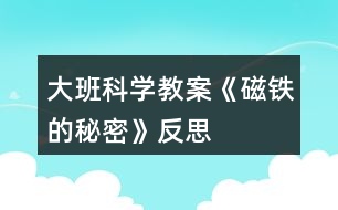 大班科學教案《磁鐵的秘密》反思