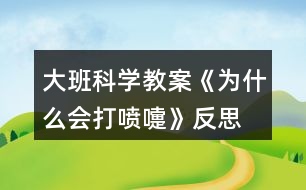 大班科學(xué)教案《為什么會打噴嚏》反思