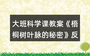 大班科學(xué)課教案《梧桐樹葉脈的秘密》反思