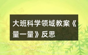 大班科學領(lǐng)域教案《量一量》反思