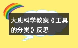 大班科學(xué)教案《工具的分類》反思