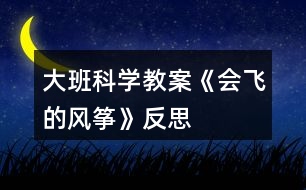 大班科學(xué)教案《會(huì)飛的風(fēng)箏》反思