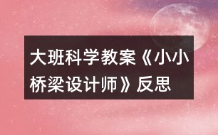 大班科學(xué)教案《小小橋梁設(shè)計師》反思