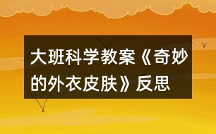 大班科學(xué)教案《奇妙的外衣皮膚》反思