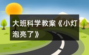 大班科學教案《小燈泡亮了》