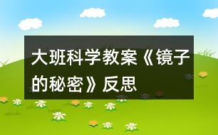 大班科學(xué)教案《鏡子的秘密》反思