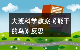 大班科學(xué)教案《能干的鳥(niǎo)》反思