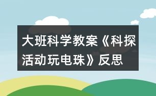 大班科學(xué)教案《科探活動玩電珠》反思