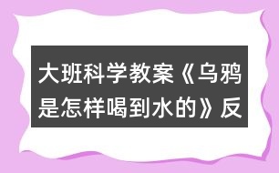 大班科學(xué)教案《烏鴉是怎樣喝到水的》反思