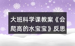 大班科學(xué)課教案《會爬高的水寶寶》反思