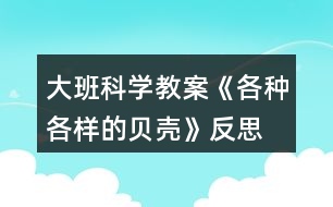 大班科學(xué)教案《各種各樣的貝殼》反思