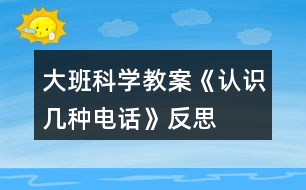 大班科學(xué)教案《認(rèn)識(shí)幾種電話》反思