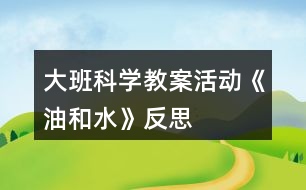 大班科學(xué)教案活動《油和水》反思