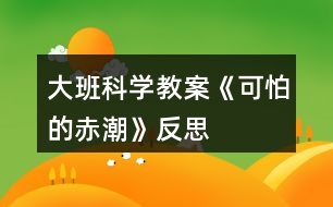 大班科學教案《可怕的赤潮》反思