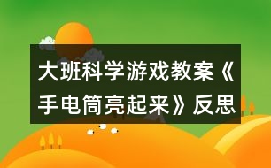 大班科學(xué)游戲教案《手電筒亮起來(lái)》反思