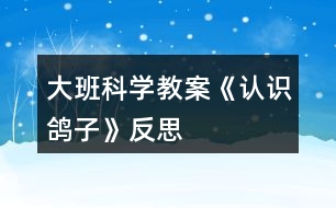 大班科學教案《認識鴿子》反思