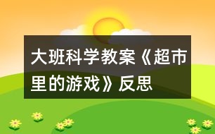 大班科學教案《超市里的游戲》反思