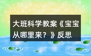 大班科學教案《寶寶從哪里來？》反思