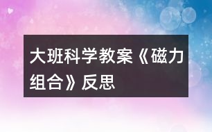 大班科學教案《磁力組合》反思