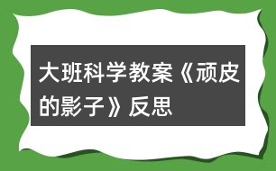 大班科學教案《頑皮的影子》反思