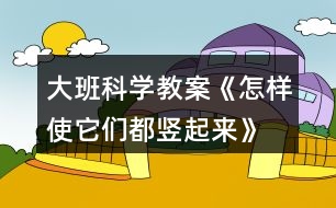 大班科學(xué)教案《怎樣使它們都豎起來(lái)》